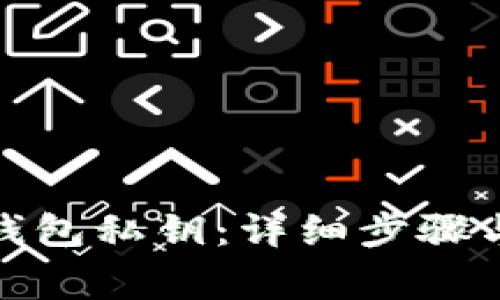 : 如何输入TP钱包私钥：详细步骤与常见问题解答