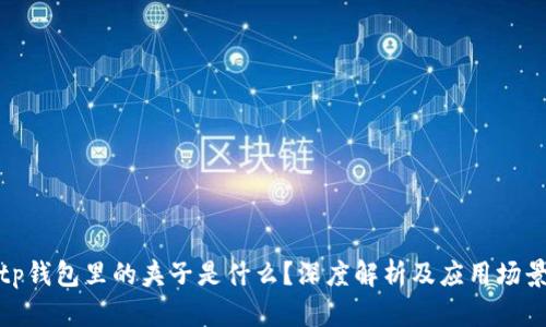 tp钱包里的夹子是什么？深度解析及应用场景