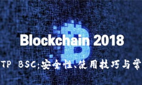 : 全面解析TP BSC：安全性、使用技巧与常见问题解答