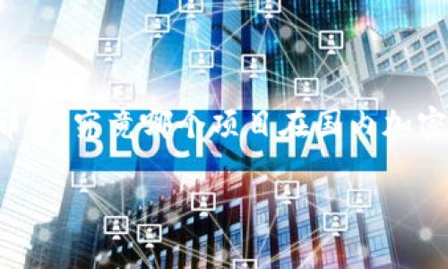 国内加密货币的龙头是一个热门话题，随着加密货币技术的发展和市场的变化，越来越多的人开始关注这个领域。那么，究竟哪个项目在国内加密货币中占据龙头地位？本文将详尽剖析这一主题，探讨当前国内加密货币的市场状况，以及相关关键字和常见问题。

国内加密货币的龙头：市场分析与发展前景